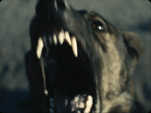 La indecisión de la autoría: cine mexicano 2024-2025