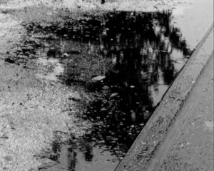 Resplandores de luz (Jacques Rancière)