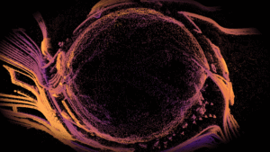 Pablo Weber: “La tarea fundamental es quebrar la idea de que las imágenes son flujos. Las imágenes son materia” Pablo Weber: “La tarea fundamental es quebrar la idea de que las imágenes son flujos. Las imágenes son materia”