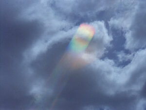 Notas sobre el sol de Los Ángeles