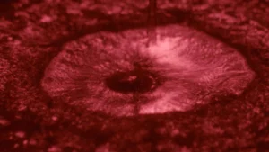 FestiFreak #20 / Fanzines – Segunda parte